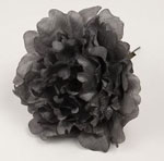 Peony Feria. Flamenco flowers. Black. 11cm 3.640€ #504190086NG